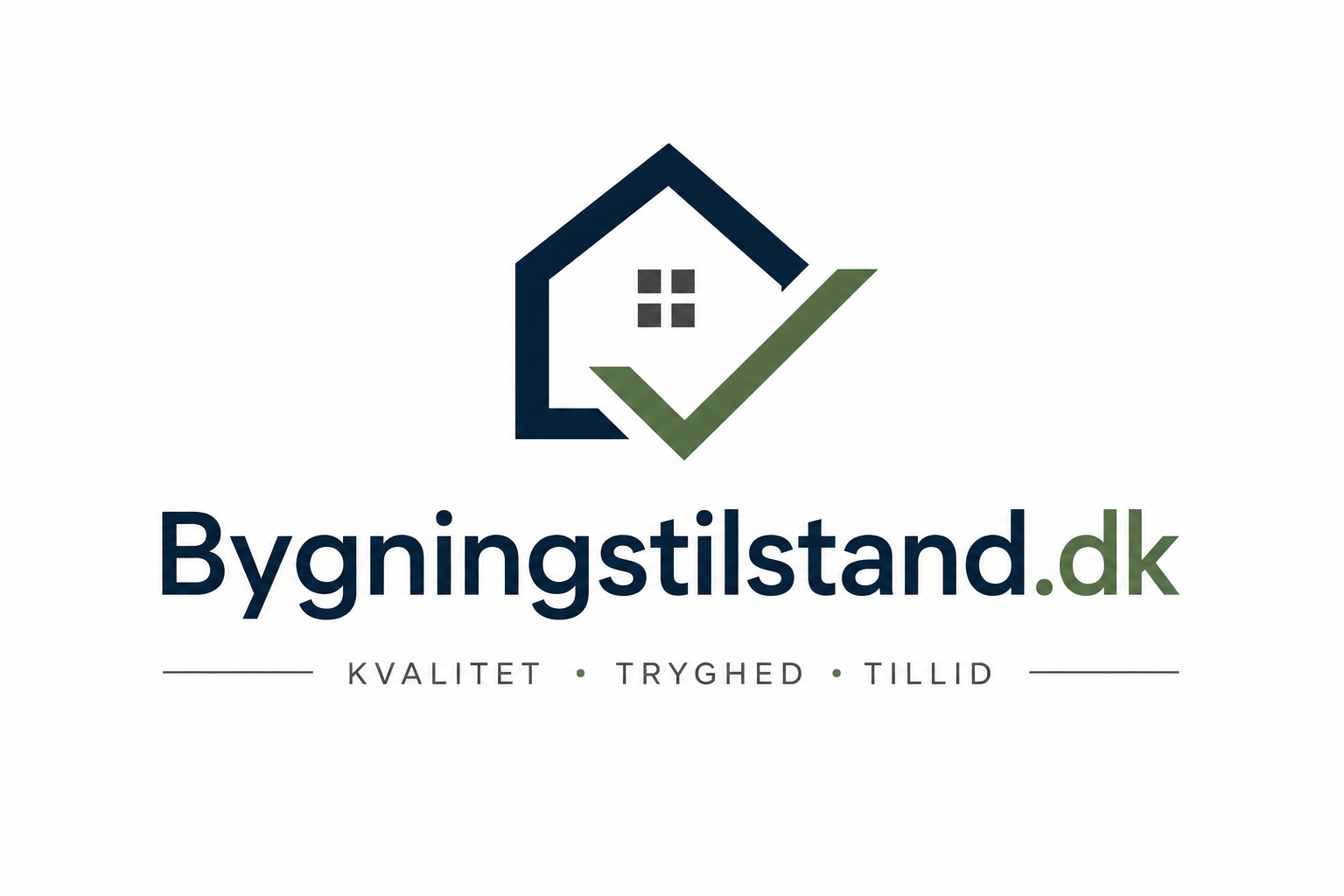 Sorte frisørredskaber: kamme, saks og hårtrimmer lagt på hvid baggrund.